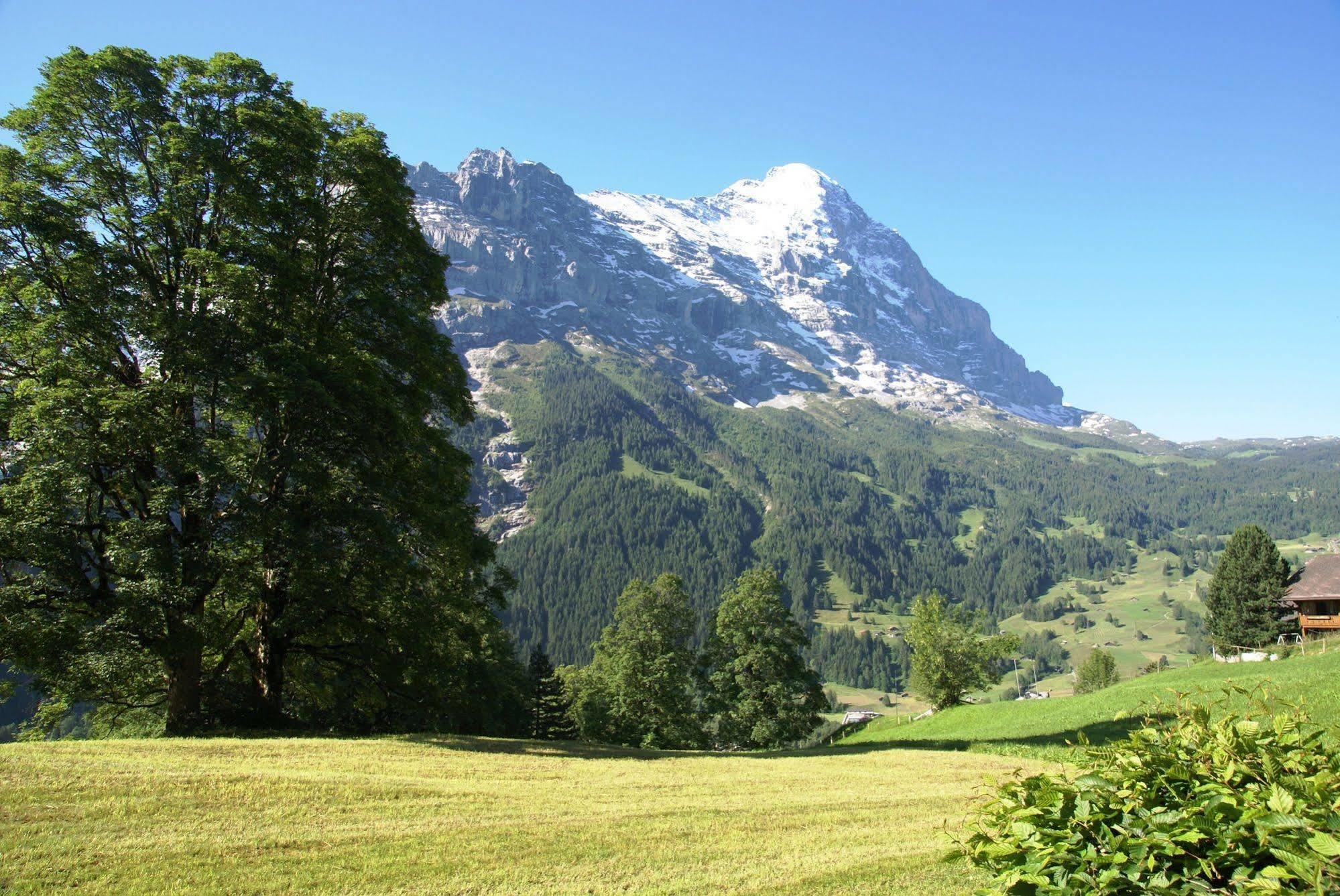 Apartment Nussbaum - Griwa Rent Ag Grindelwald Exteriör bild