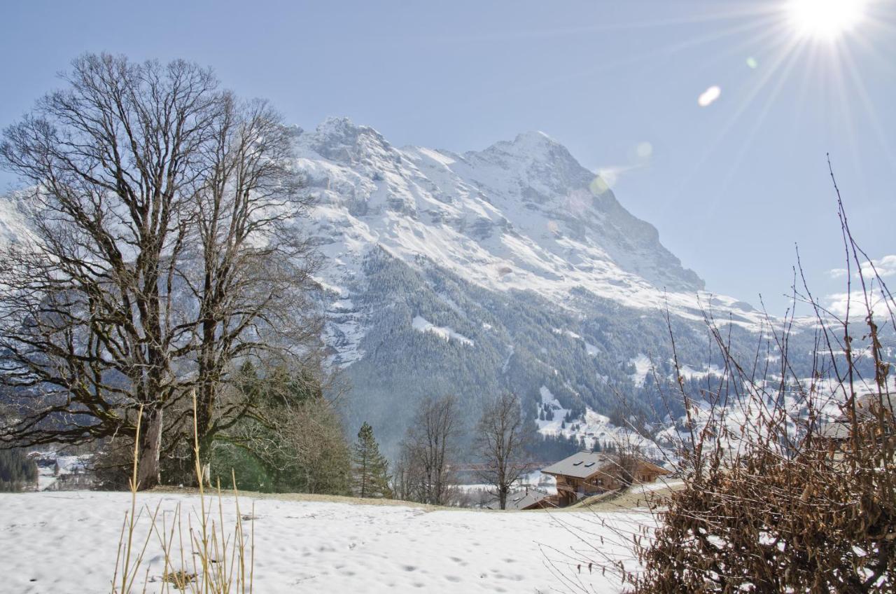 Apartment Nussbaum - Griwa Rent Ag Grindelwald Exteriör bild